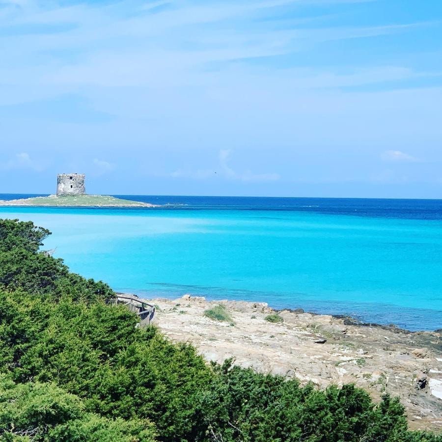 Appartamento Sole E Mare Stintino Exterior photo